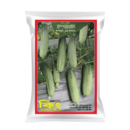 F1 Hybrid Cucumber Seed King