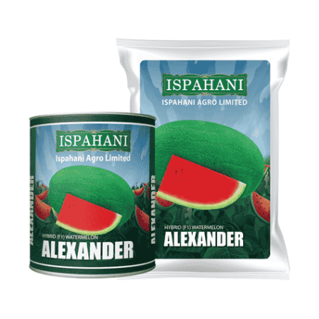 F1 Hybrid Watermelon Seed Alexander