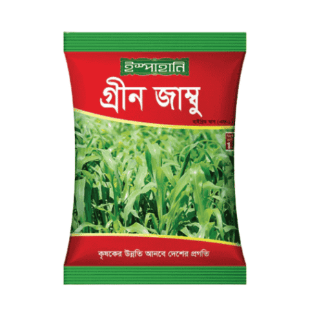 F1 Hybrid Grass Seed Green Jambu