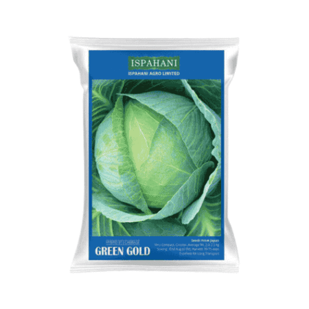 F1 Hybrid Cabbage Seed Green Gold