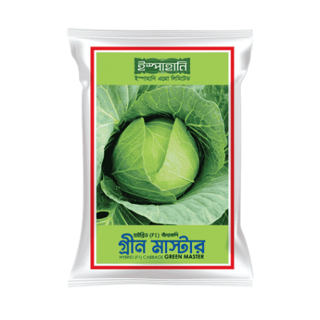 F1 Hybrid Cabbage Seed Green Master