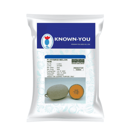 F1 Hybrid Rock Melon Seed Hemi F 4453