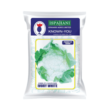 F1 Hybrid Cauliflower Seed Ivory White