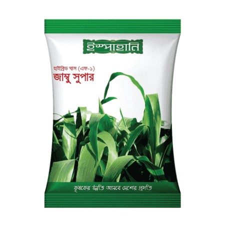 F1 Hybrid Grass Seed Jambu Super