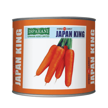 F1 Hybrid Carrot Seed Japan King