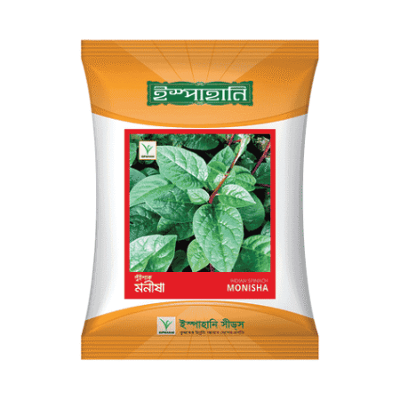 F1 Hybrid Malabar Spinach Seed Monisha
