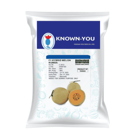 F1 Hybrid Rock Melon Seed Rumba