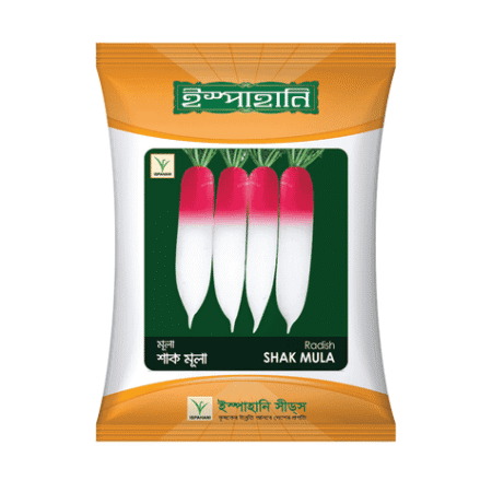 F1 Hybrid Radish Seed Shakmula