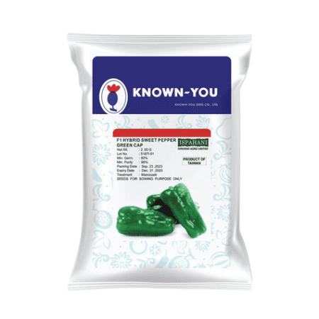 F1 Hybrid Capsicum Seed Sobuj Cap